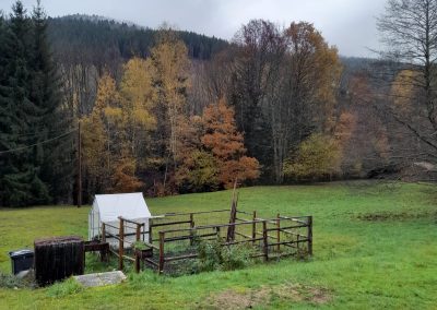 La chouette des Malcostes, jardin, maison située dans les Vosges proposant des chambres d'hôtes durant l'hiver, l'été, le printemps et l'automne